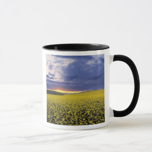 USA, Idaho, Swan Valley. Ein feuriger Sonnenunterg Tasse