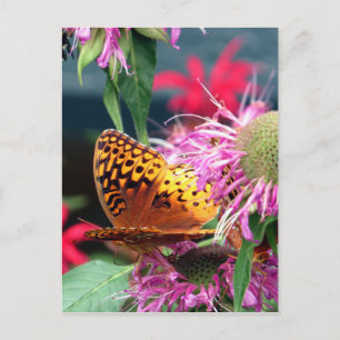 USA - Indiana - Brown Landkreis Staat Park Postkarte