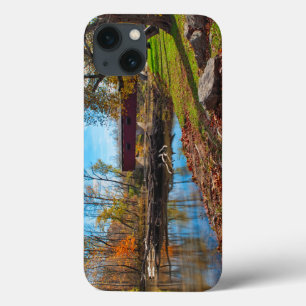 USA, Indiana, Cataract Falls Staat Recreation Case-Mate iPhone Hülle