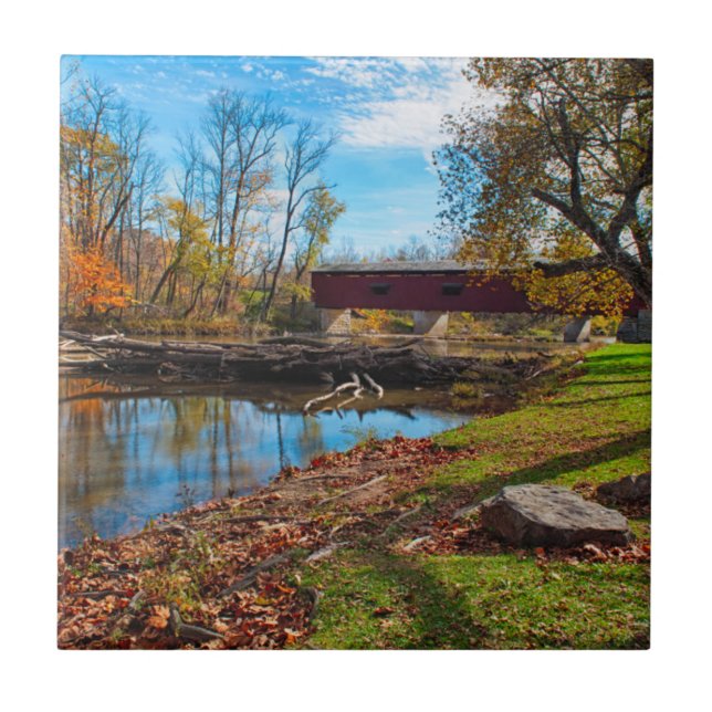 USA, Indiana, Cataract Falls Staat Recreation Fliese (Vorderseite)