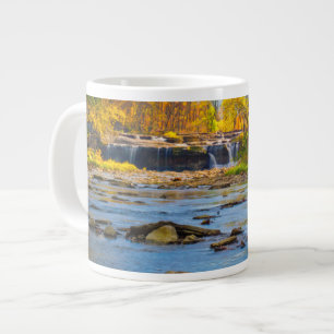 USA, Indiana. Cataract Falls State Recreation Jumbo-Tasse