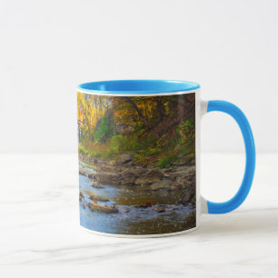 USA, Indiana. Cataract Falls State Recreation Tasse