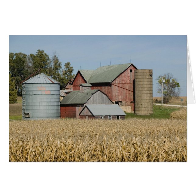 USA, IOWA, Froelich: Alter Bauernhof (Vorderseite (Horizontal))