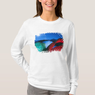 USA, Kalifornien, Alabama Hills, Nachtfoto von T-Shirt