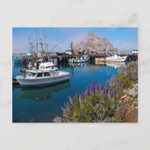USA, Kalifornien. Angedockte Boote in der Morro Ba Postkarte