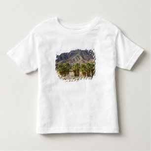 USA, Kalifornien, Anza-Borrego Desert Staat Park. Kleinkind T-shirt