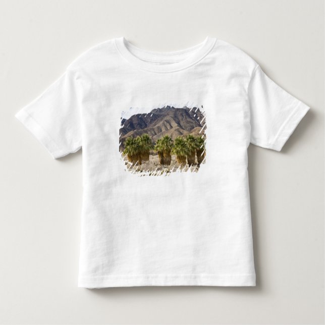 USA, Kalifornien, Anza-Borrego Desert Staat Park. Kleinkind T-shirt (Vorderseite)