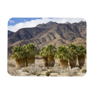 USA, Kalifornien, Anza-Borrego Desert Staat Park. Magnet