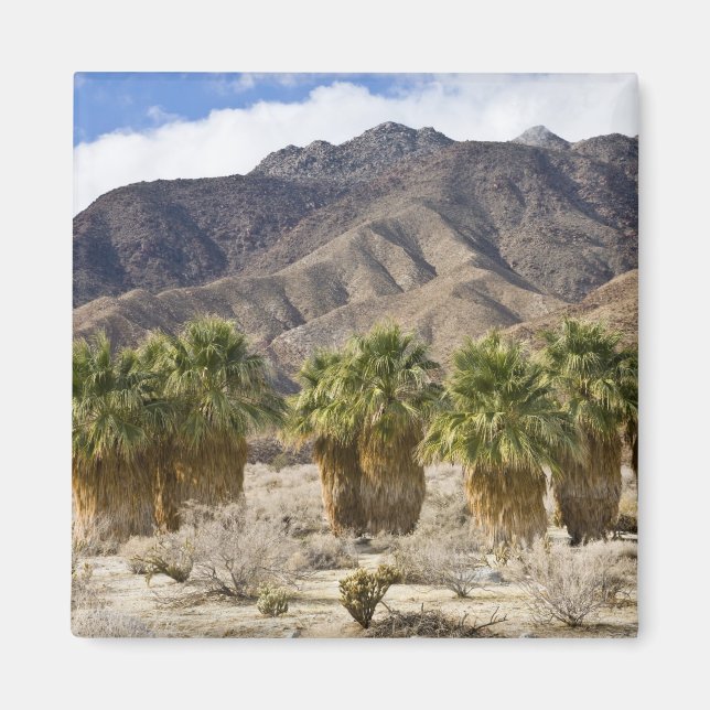 USA, Kalifornien, Anza-Borrego Desert Staat Park. Magnet (Vorne)