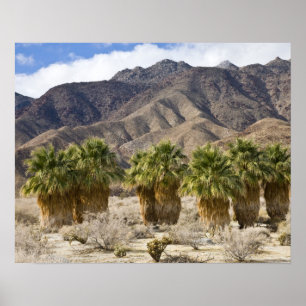 USA, Kalifornien, Anza-Borrego Desert Staat Park. Poster