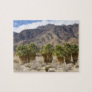 USA, Kalifornien, Anza-Borrego Desert Staat Park. Puzzle