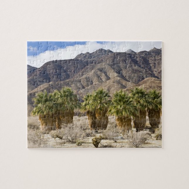 USA, Kalifornien, Anza-Borrego Desert Staat Park. Puzzle (Horizontal)