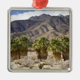 USA, Kalifornien, Anza-Borrego Desert Staat Park. Silbernes Ornament