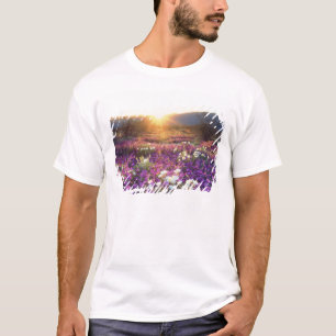 USA, Kalifornien, Anza-Borrego Desert Staat Park. T-Shirt