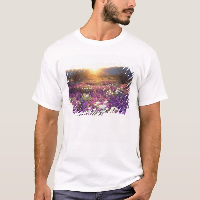 USA, Kalifornien, Anza-Borrego Desert Staat Park.  T-Shirt (Vorderseite)