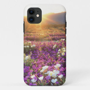 USA, Kalifornien, Anza-Borrego Desert State Park. Case-Mate iPhone Hülle