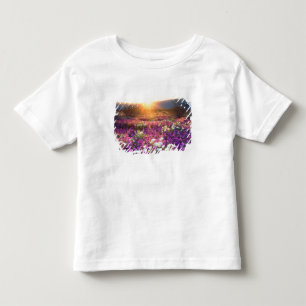 USA, Kalifornien, Anza-Borrego Desert State Park. Kleinkind T-shirt