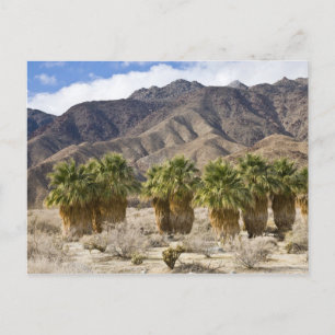 USA, Kalifornien, Anza-Borrego Desert State Park. Postkarte