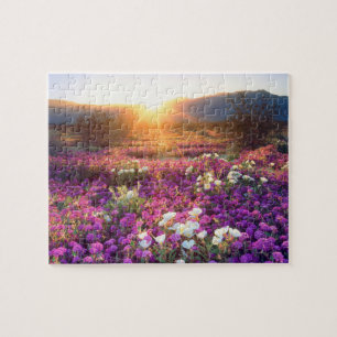USA, Kalifornien, Anza-Borrego Desert State Park. Puzzle
