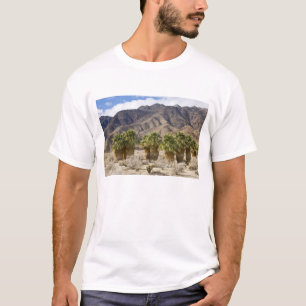USA, Kalifornien, Anza-Borrego Desert State Park. T-Shirt