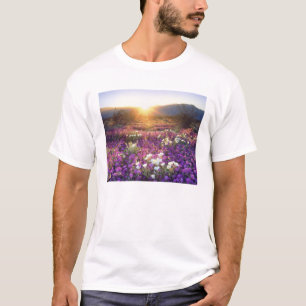 USA, Kalifornien, Anza-Borrego Desert State Park.  T-Shirt