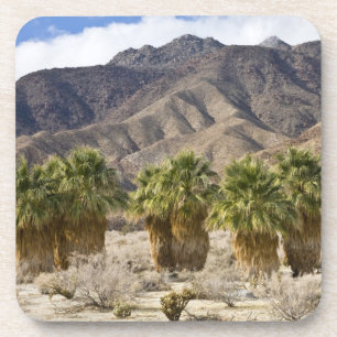 USA, Kalifornien, Anza-Borrego Desert State Park. Untersetzer
