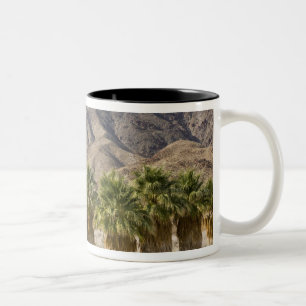 USA, Kalifornien, Anza-Borrego Desert State Park. Zweifarbige Tasse