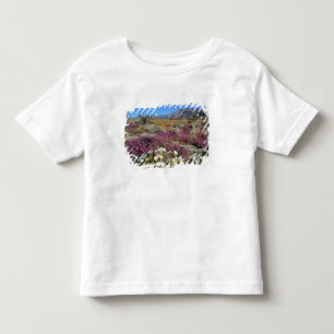 USA, Kalifornien, Anza-Borrego DSP. Dünenabend Kleinkind T-shirt