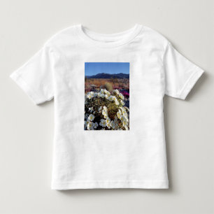 USA, Kalifornien, Anza-Borrego DSP. Dünndarm 2 Kleinkind T-shirt