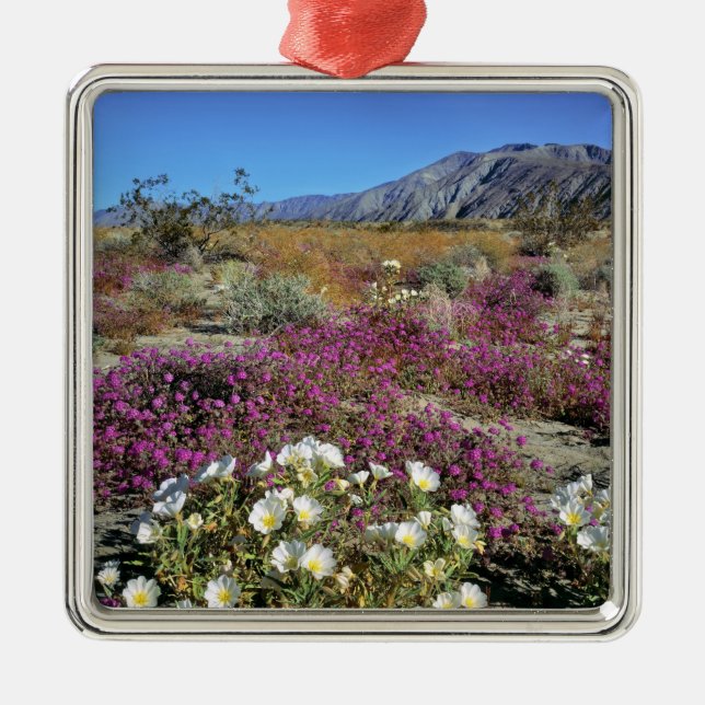 USA, Kalifornien, Anza-Borrego DSP. Dünner Abend Silbernes Ornament (Vorne)