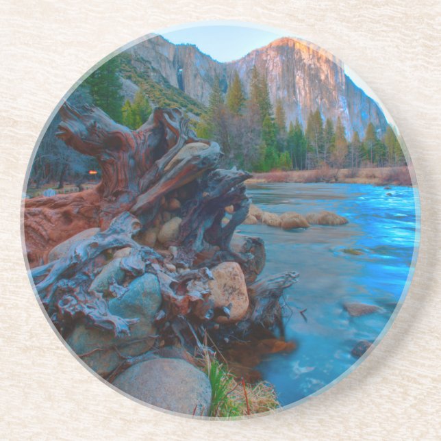 USA, Kalifornien. Baumwurzeln im Merced-Fluss Getränkeuntersetzer (Vorne)