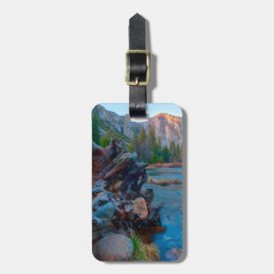 USA, Kalifornien. Baumwurzeln im Merced River Gepäckanhänger