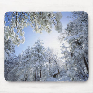 USA, Kalifornien, Cleveland National Forest, Mousepad