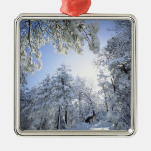 USA, Kalifornien, Cleveland National Forest, Ornament Aus Metall