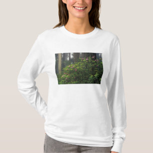 USA, Kalifornien, Del Norte, Redwoods St Park, T-Shirt