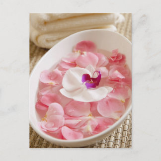 USA, Kalifornien, Fairfax, Bowl of petals by Postkarte