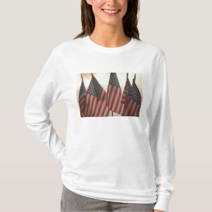 USA, Kalifornien, Goldland, Amador-Stadt: T-Shirt