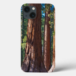 USA, Kalifornien. Holzbaumstämme, Mariposa Case-Mate iPhone Hülle