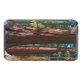 USA, Kalifornien. Holzbaumstämme, Mariposa iPod Touch Case (Rückseite Horizontal)