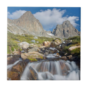 USA, Kalifornien, Inyo National Forest 14 Fliese