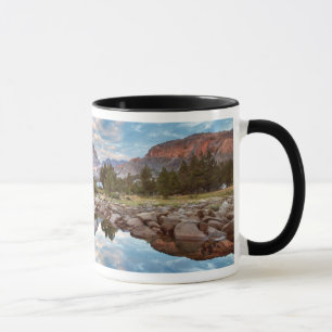 USA, Kalifornien, Inyo National Forest 15 Tasse