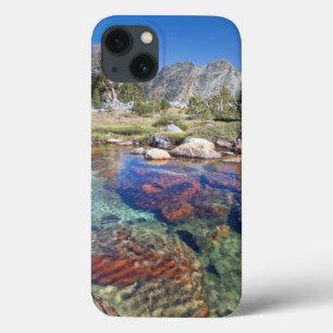 USA, Kalifornien, Inyo National Forest 4 Case-Mate iPhone Hülle
