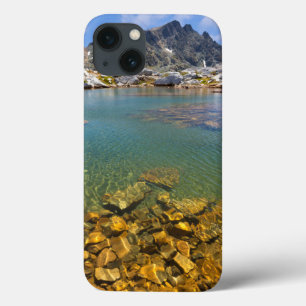 USA, Kalifornien, Inyo National Forest 8 Case-Mate iPhone Hülle