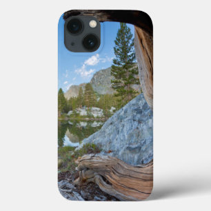 USA, Kalifornien, Inyo National Forest. Alte Kiefe Case-Mate iPhone Hülle
