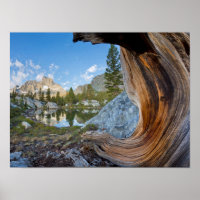 USA, Kalifornien, Inyo National Forest. Alte Kiefe