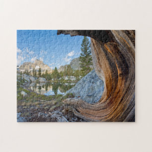 USA, Kalifornien, Inyo National Forest. Alte Kiefe Puzzle
