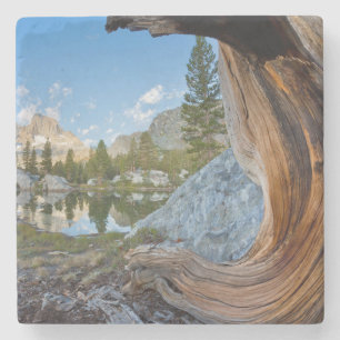 USA, Kalifornien, Inyo National Forest. Alte Kiefe Steinuntersetzer