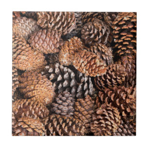 USA, Kalifornien, Inyo National Forest Fliese