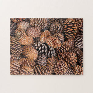 USA, Kalifornien, Inyo National Forest Puzzle