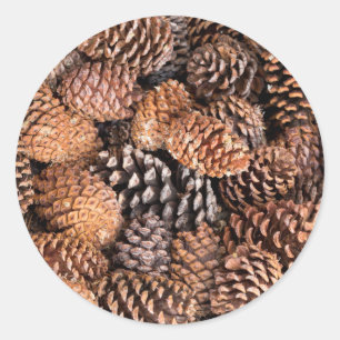 USA, Kalifornien, Inyo National Forest Runder Aufkleber